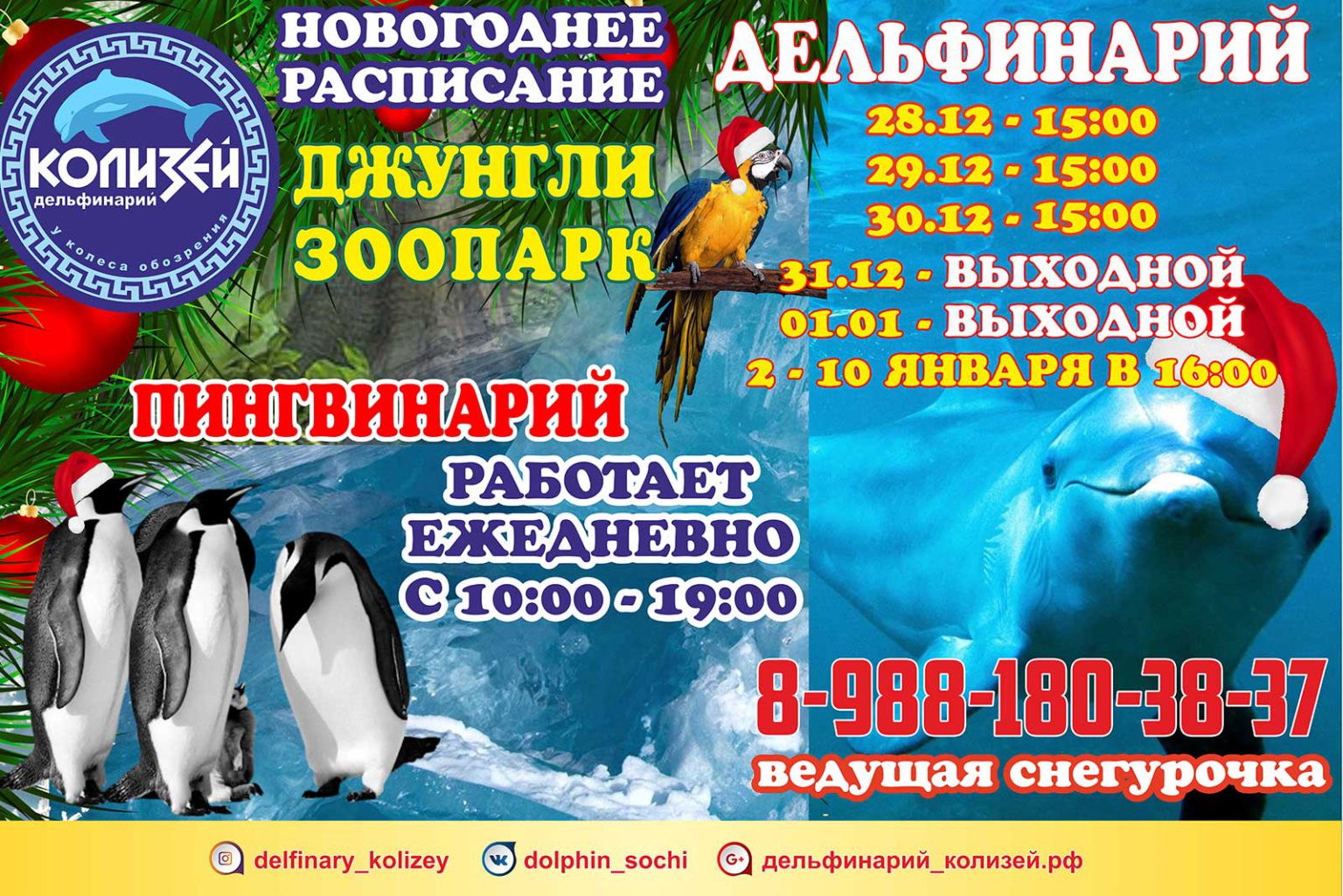 Билеты дельфинарий владивосток