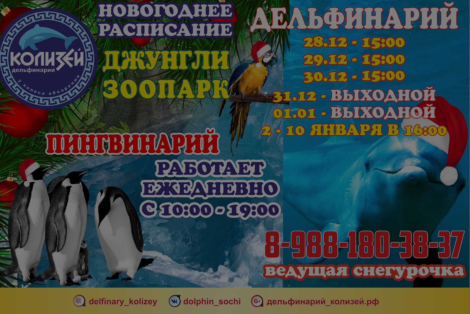 Дельфинарий в москве адреса и цены